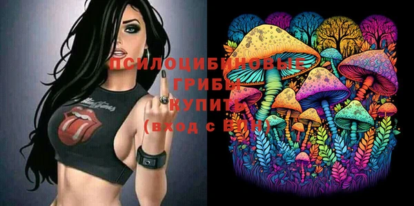 гидра Армянск