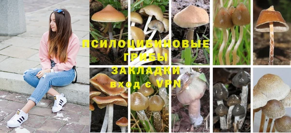 гидра Армянск