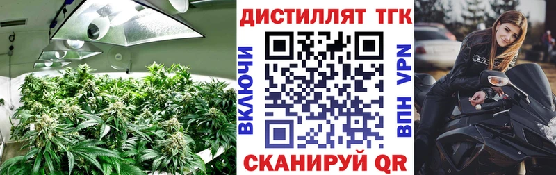 даркнет сайт  Бабаево  Дистиллят ТГК вейп с тгк 