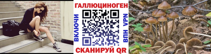 Псилоцибиновые грибы ЛСД  Бабаево 